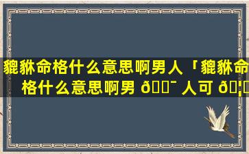 貔貅命格什么意思啊男人「貔貅命格什么意思啊男 🐯 人可 🦟 以戴吗」